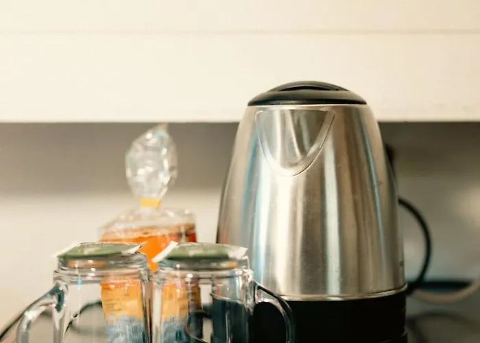 Orginal Dutch Houseboat Center 'zijp' Hotel en barco *